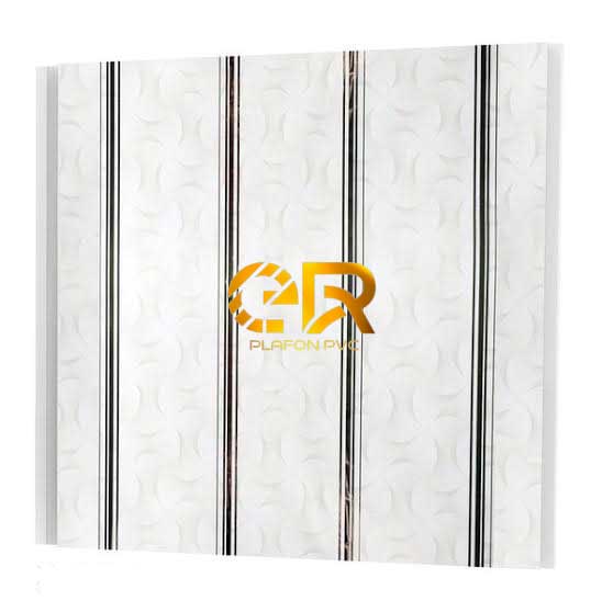 ER plafon pvc5